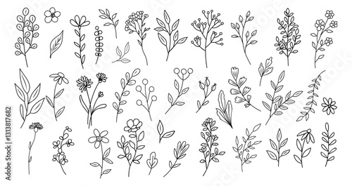 Set of tiny wild flowers and plants line art vector botanical illustrations. Trendy greenery hand drawn black ink sketches collection. Modern design for logo, tattoo, wall art, branding and packaging.