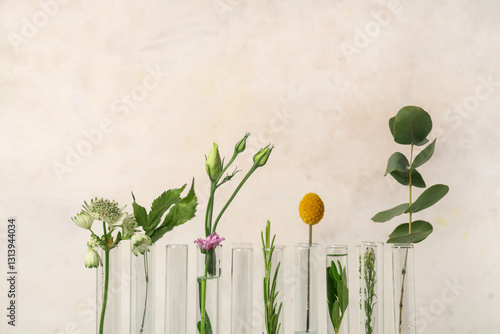 Different test tubes with herbs, flowers and plants on grunge beige background