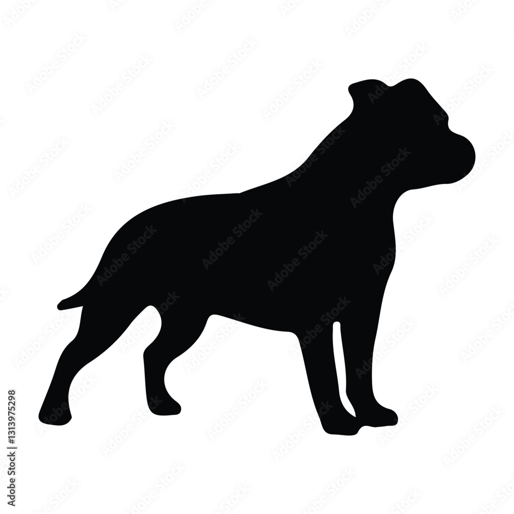 Obraz premium short legged dog silhouette