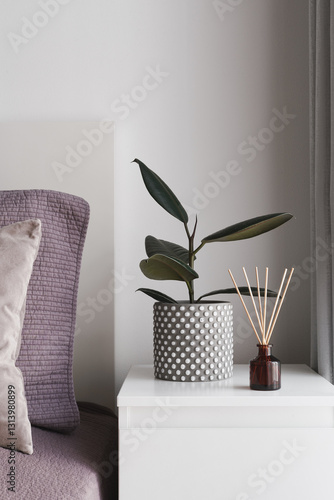 Ficus Elastica, or rubber plant, and a bottle of scented aroma diffuser with wooden sticks on a white bedside table. Simple and minimal bedroom decor idea