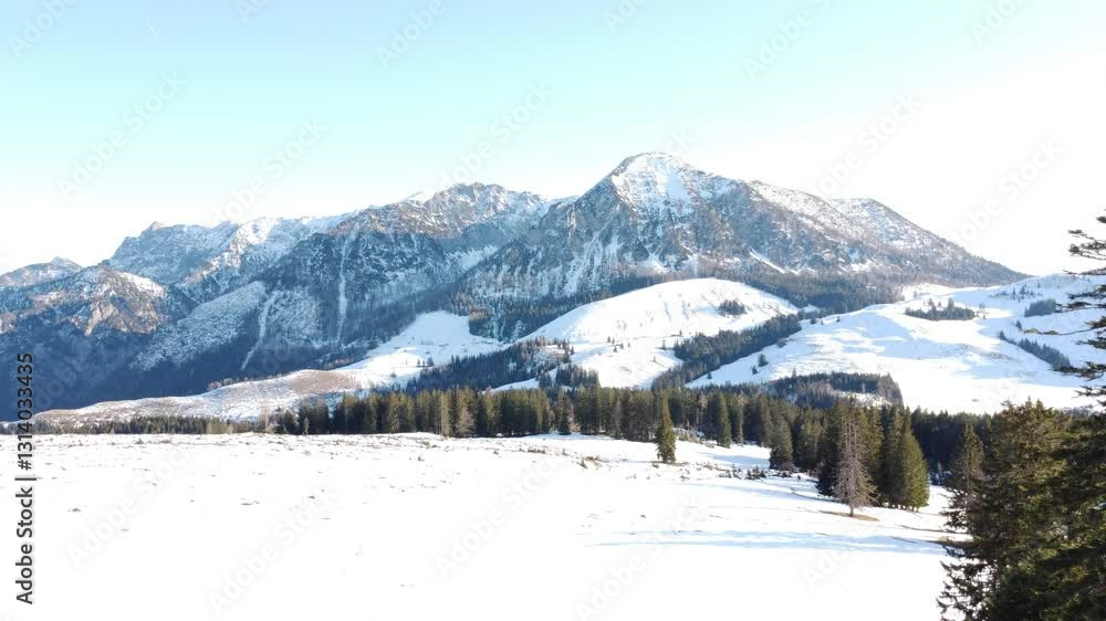 Panoramic view of snow-capped mountains, drone view: natural landscape with a combination of snow-white slopes, green fir trees and rocky peaks. Panoramic view of snow-capped mountains, drone view: natural landscape with a combination of snow-white slopes, green fir trees and rocky peaks.