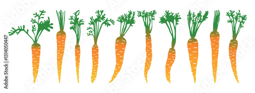 Carrots colored flat cliparts vector objects isolated on white background for packaging design food website home decor 