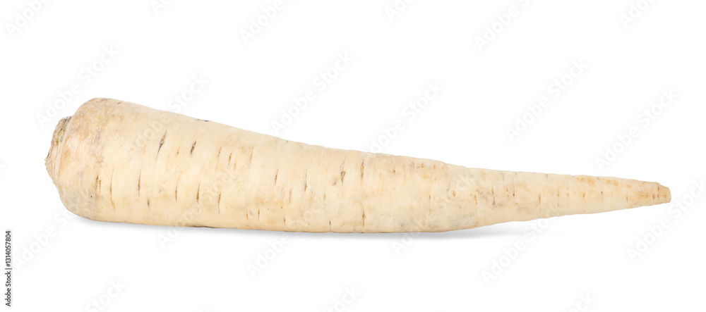One raw parsley root isolated on white One raw parsley root isolated on white