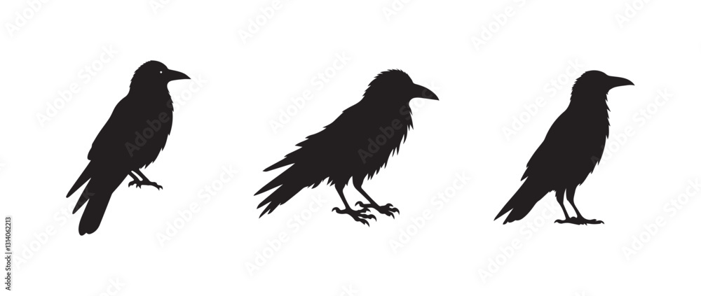 Crow bird black soild silhouette bundle isolated on white background, clip art logo icon set Crow bird black soild silhouette bundle isolated on white background, clip art logo icon set