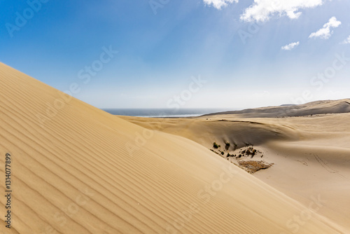 Fototapeta Naklejka Na Ścianę i Meble -  Giant Sand Dunes, New Zealand