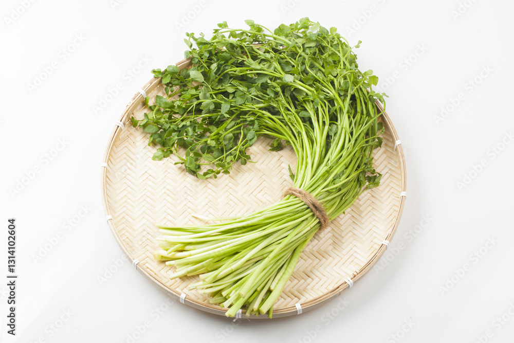Water parsley is a perennial herb of the Apiaceae family. The stem is about 30 cm tall, hairless, and spreads by spreading out creeping stems. Water parsley is a perennial herb of the Apiaceae family. The stem is about 30 cm tall, hairless, and spreads by spreading out creeping stems.