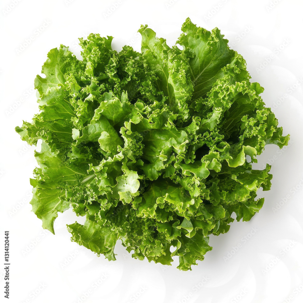 Fototapeta premium green salad on transparent bankground