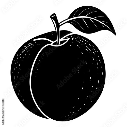 vector illustration of an Apricot