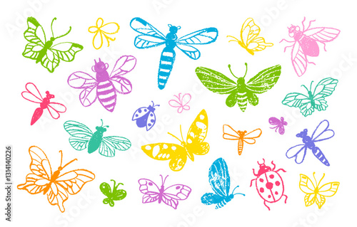 Photography Butterfly and cute crayon insect