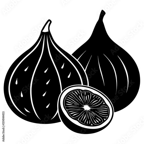 vector illustration of an Fig