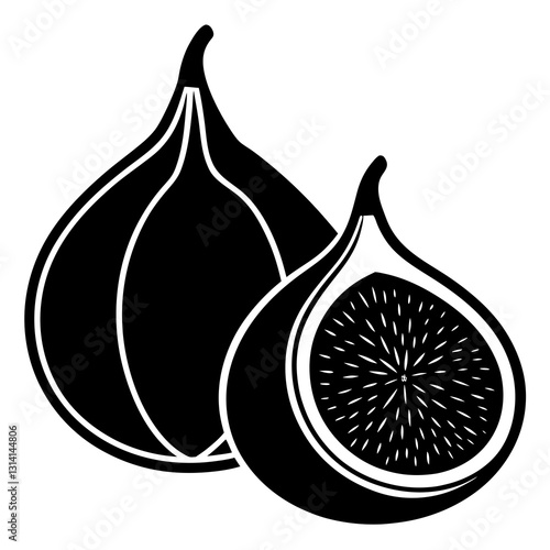 vector illustration of an Fig