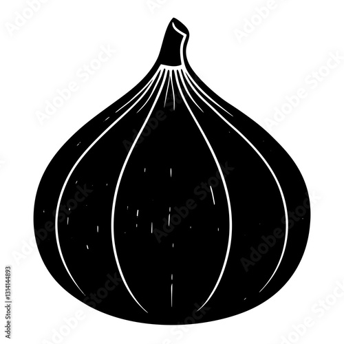 vector illustration of an Fig