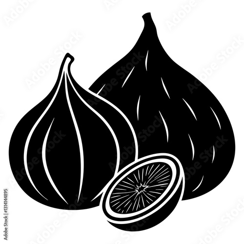 vector illustration of an Fig