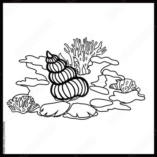 Cartoon undersea coral reefs and seashells line art