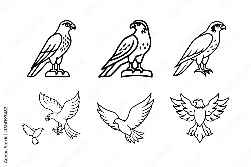 Obraz premium Vector illustration eagle bird set