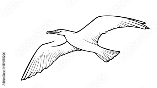 Wallpaper Mural Monoline drawing of a seabird in flight.  Detailed line art of a soaring bird with outstretched wings, showcasing its graceful flight Torontodigital.ca