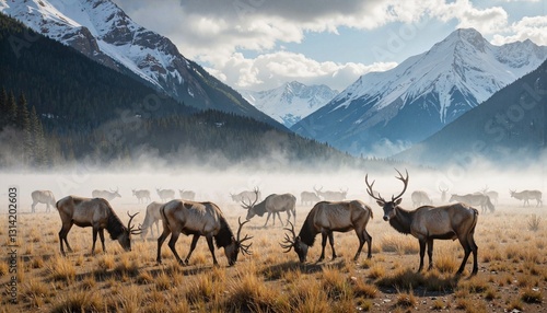 Herd of elk grazing in misty mountain landscape