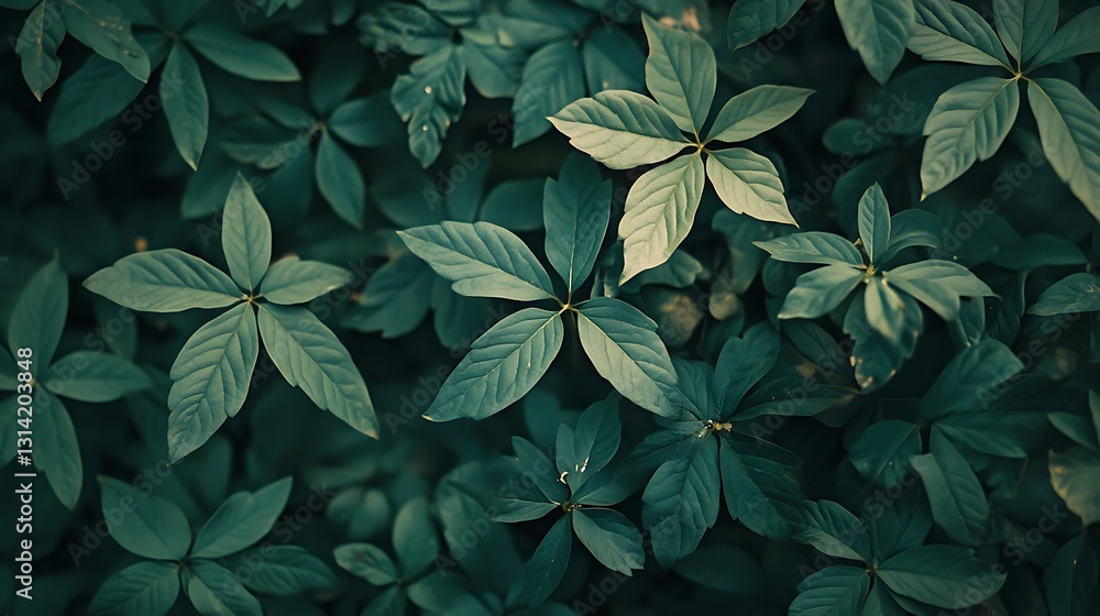 A close-up view of lush green leaves creating a natural, serene atmosphere. A close-up view of lush green leaves creating a natural, serene atmosphere.