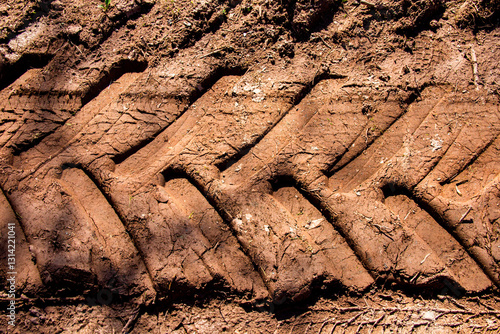 Reifenabdruck im Schlamm
