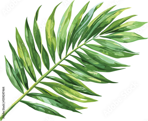 Tropical Palm leaf, watercolor, vector, isolated on transparent, old watercolor painting, palm fronds, hand-painted illustration, nature, tropical foliage, green leaves