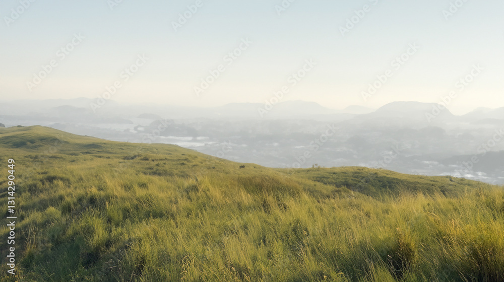 Fototapeta premium Meadow field on the top of a rolling hill with blue sky background of mountain range.Landscape of the countryside,early morning and peaceful landscape.