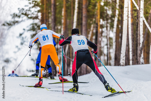 Canvastavla rear view ski athletes uphill in cross-country skiing race