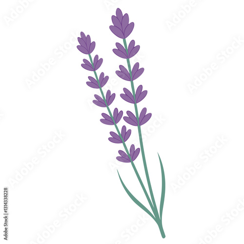 A lavender stalk with tiny blossoms along.