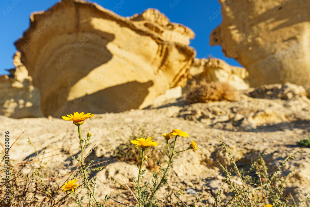 Sandstone formations Bolnuevo, Spain