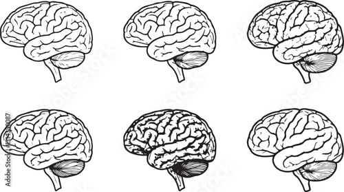Brain Line Art Collection