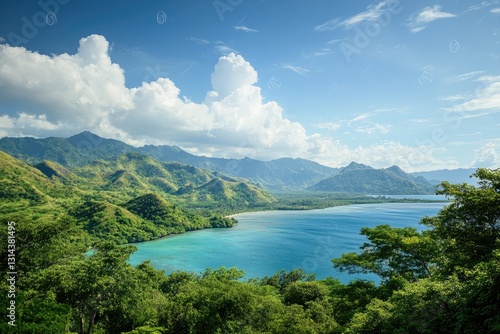 Panoramic view of the beautiful island of Komodo in Indonesia, with clear blue water and green mountains.