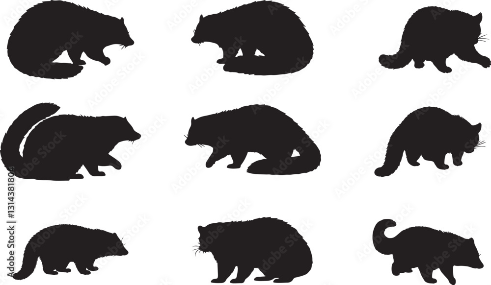 Fototapeta premium Binturong Silhouette