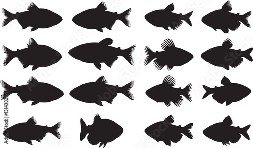 Neon Tetra Silhouette