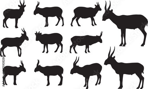 Saiga Antelope Silhouette