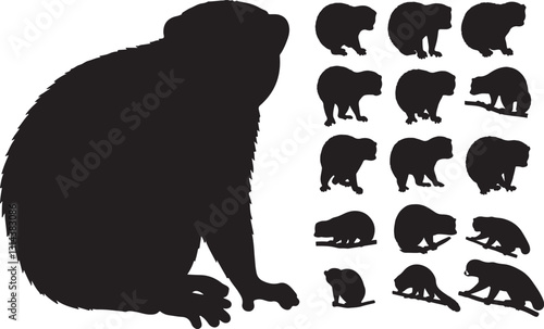Slow Loris Silhouette