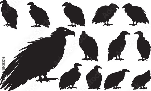 Vulture Silhouette