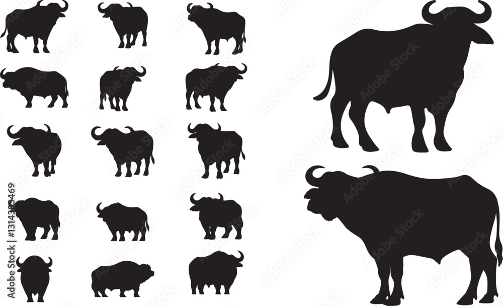 Fototapeta premium Water Buffalo Silhouette