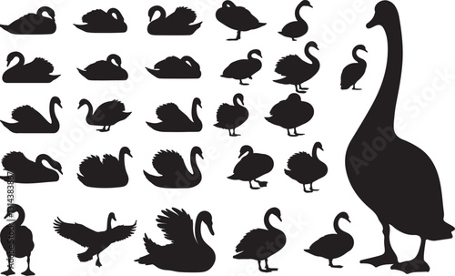 Swan Side View Silhouettes