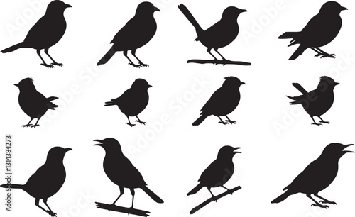 Tailorbird Silhouettes