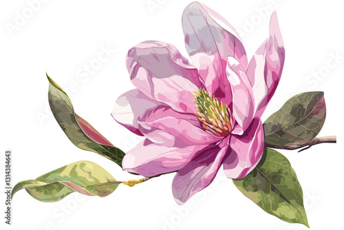 Watercolor illustration with blooming pink magnolia flowers and branches.
