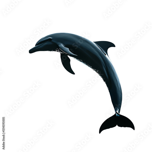Wallpaper Mural sleek dolphin gracefully leaps through water, showcasing its streamlined body and playful nature. This marine mammal embodies joy and freedom in its natural habitat Torontodigital.ca