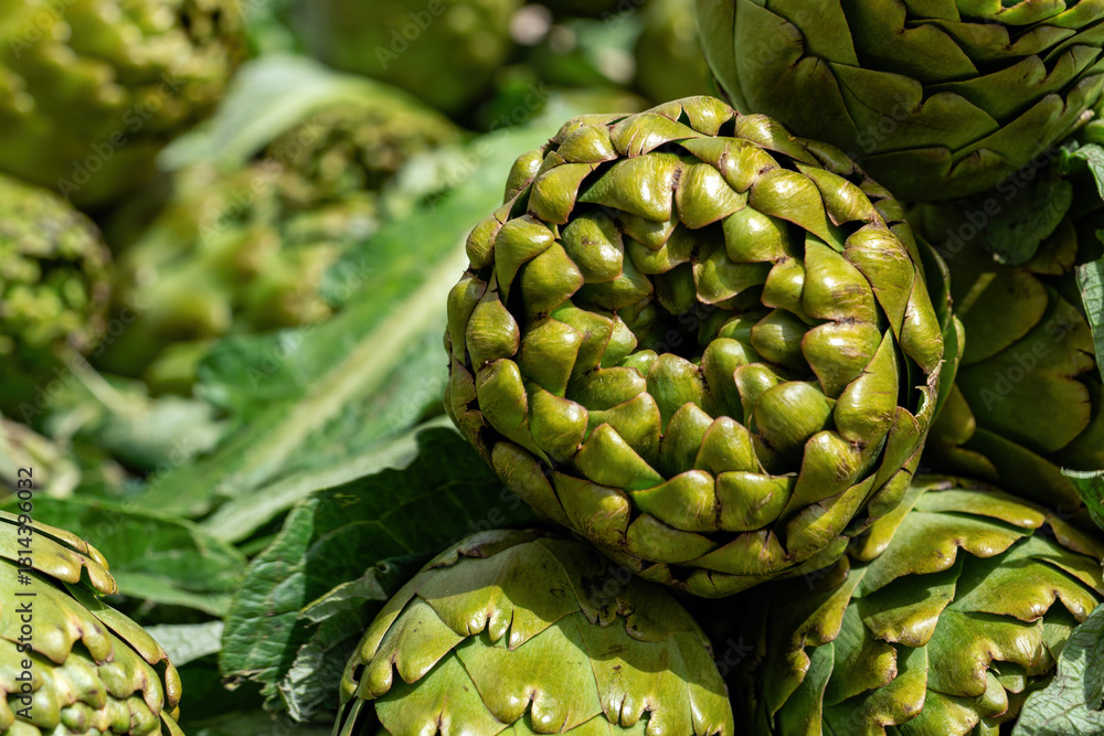 Obraz premium Organic Vegetable Artichoke in Bazaar