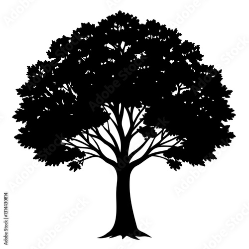 Deciduous Tree black Silhouette vector illustration isolated on a transparent background