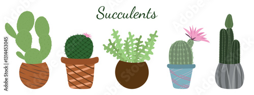 Collection of potted cactus plant designs isolated on white background. Hand drawn vector illustration in flat style. Bunny ears, Mammilaria, Ric Rac, Echinocereus ridissimus and cereus cactus drawing