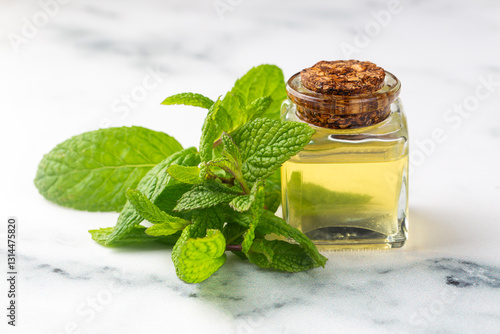 Valokuva Fresh mint and mint oil