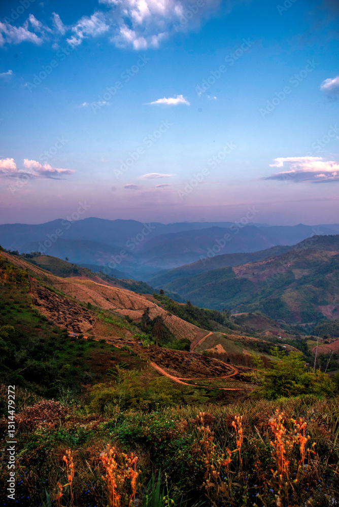Fototapeta premium Vertical Beautiful Mountain landscape foggy windy mountain range green landscape asian farm. Vertical Amazing Landscape mountain green field meadow white cloud blue sky sunrise. Countryside scenery
