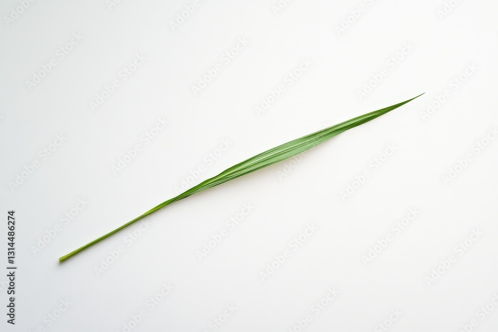 A single long green leaf is laying on a white surface A single long green leaf is laying on a white surface