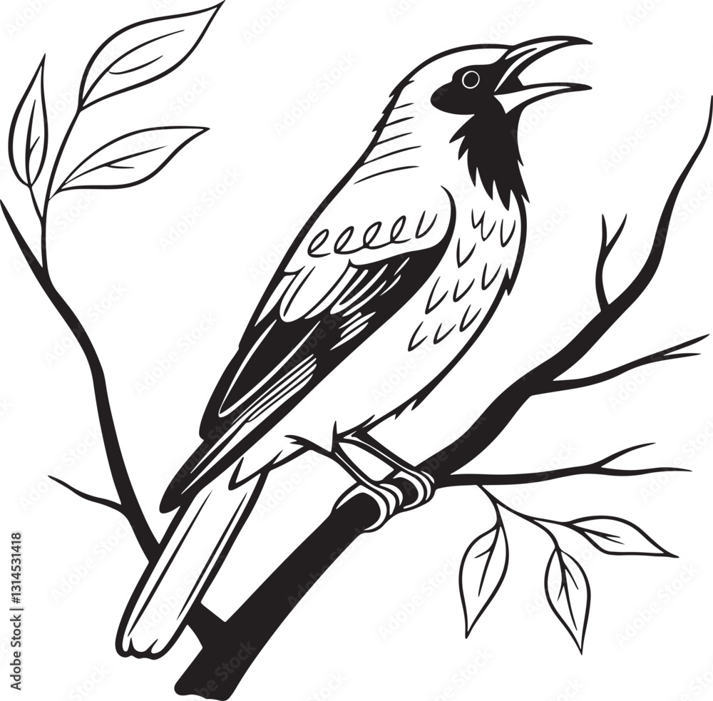 bare throated bellbird bird silhouette vector illustration bare throated bellbird bird silhouette vector illustration