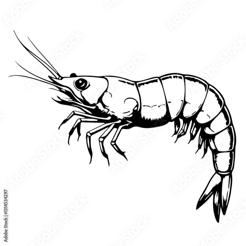Detailed shrimp icon with segmented body and curved tail for seafood restaurant branding and digital applications