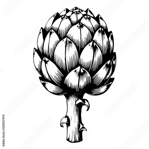 Hand-drawn artichoke icon with layered leaves for organic food branding and gourmet restaurant applications