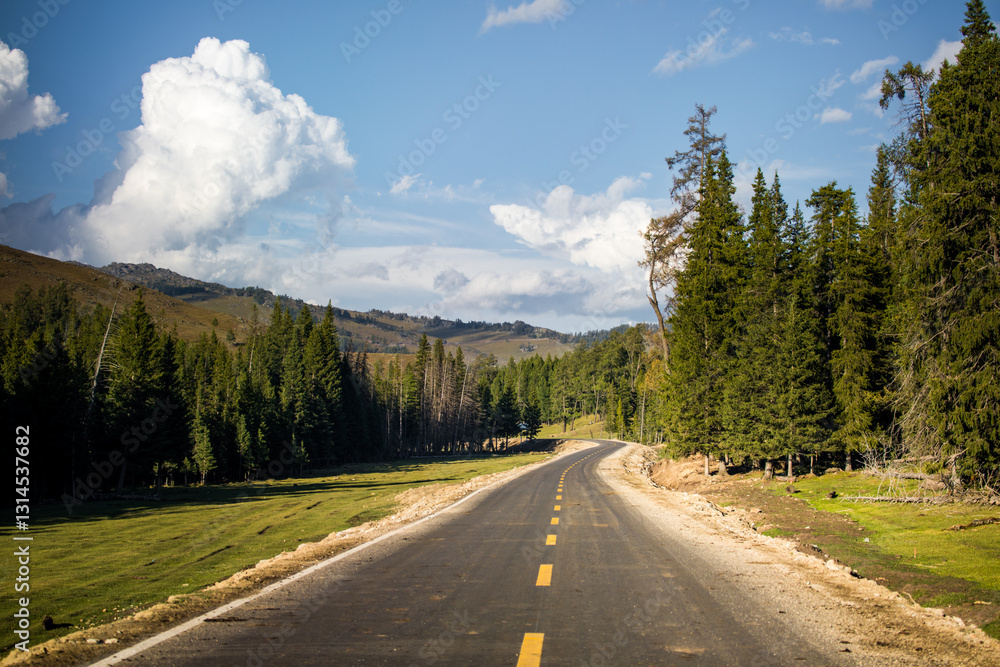 Landscape of Baihaba in summer in Altay region of Xinjiang, China Landscape of Baihaba in summer in Altay region of Xinjiang, China